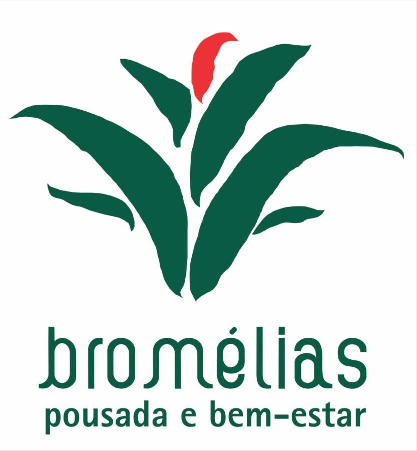 Bromelias 4*