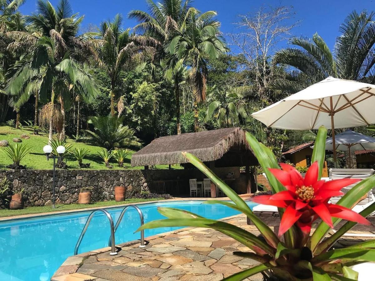 Bromelias 4*