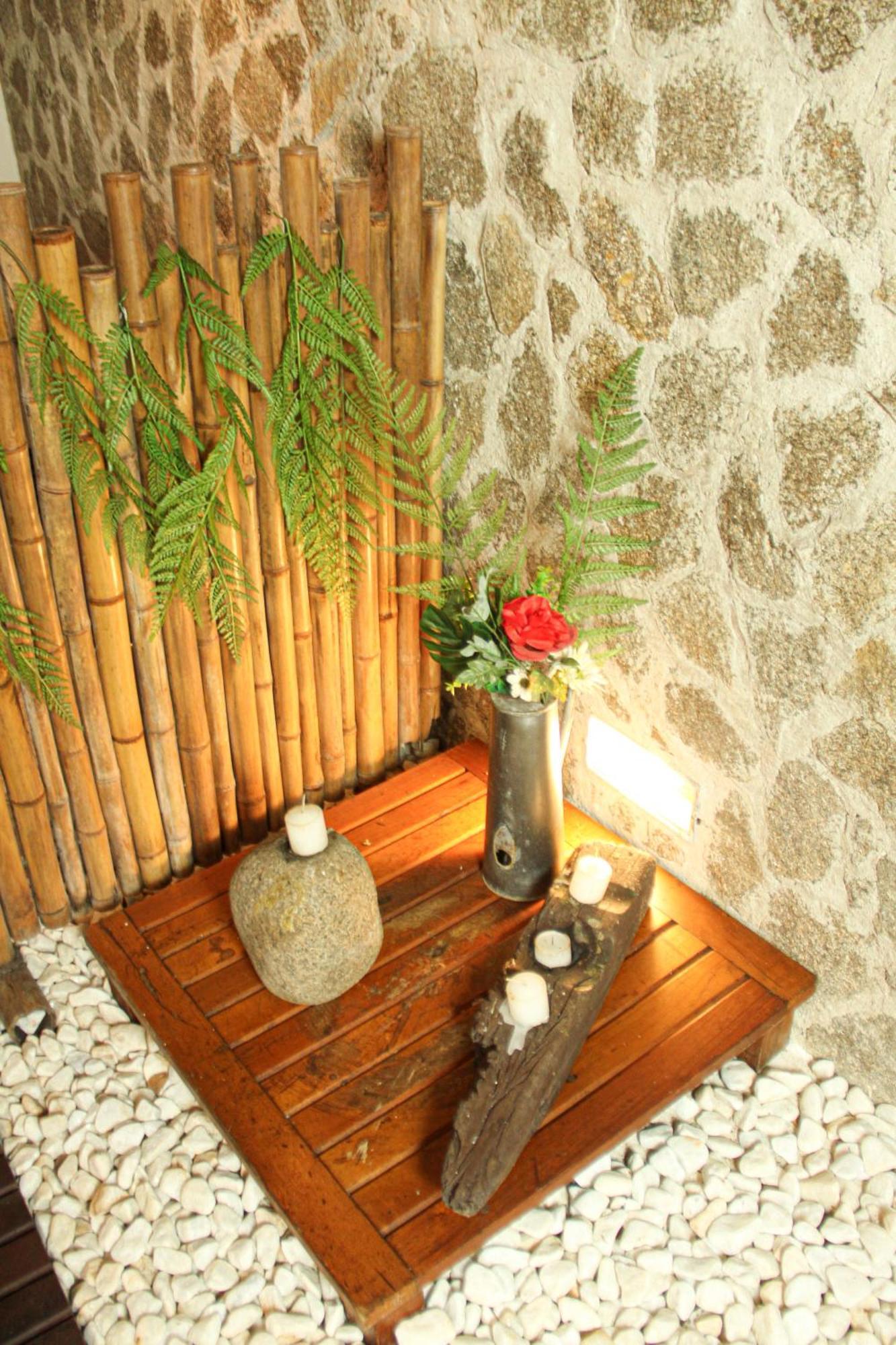 Inn Bromelias