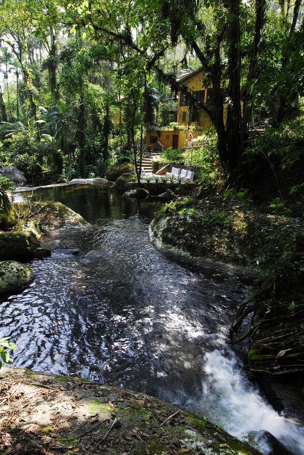Inn Bromelias