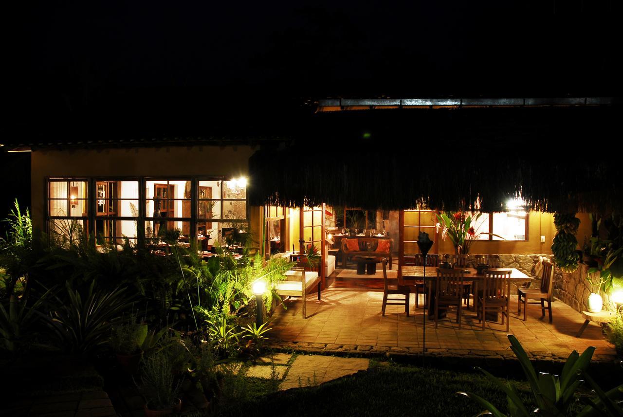 Inn Bromelias