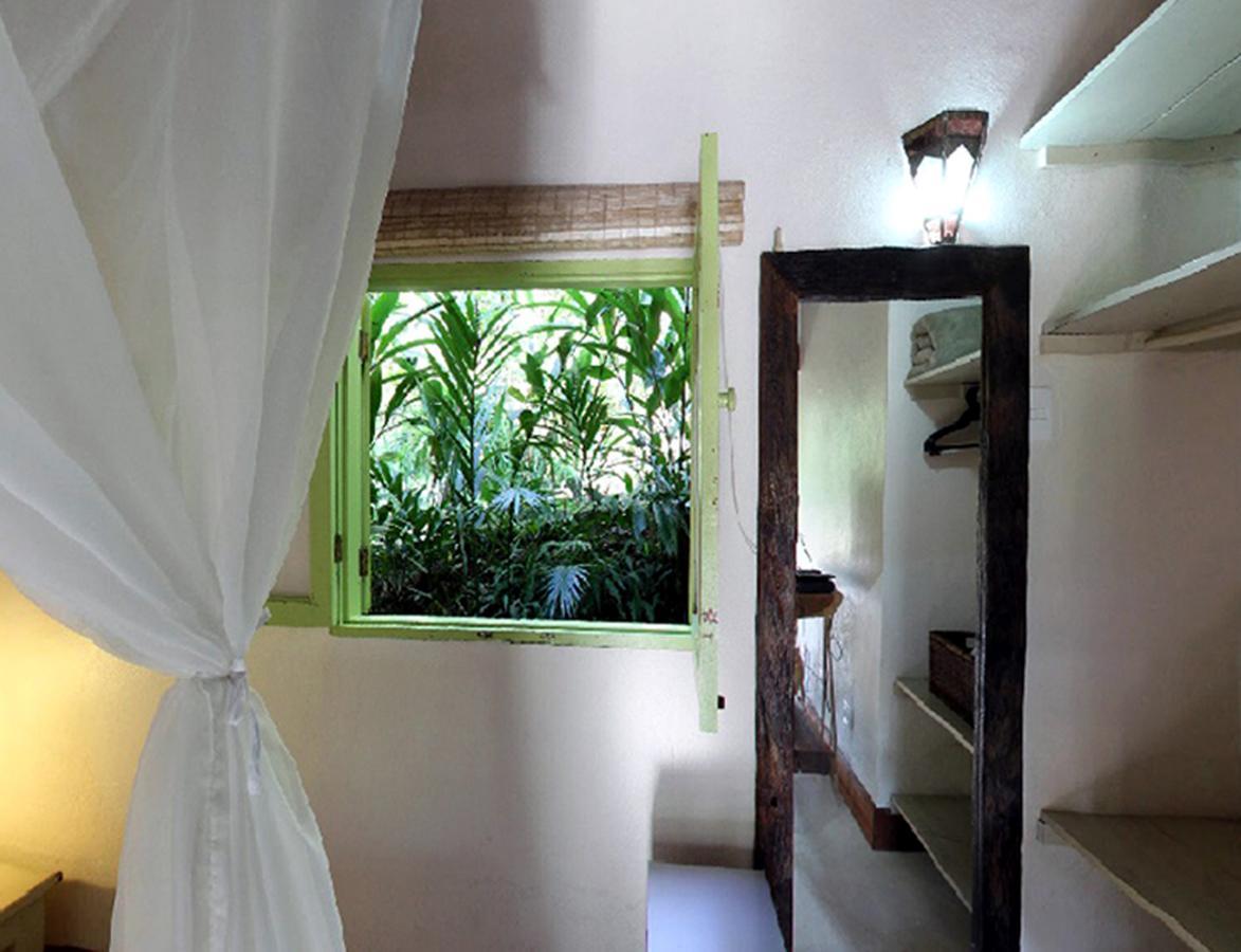 Bromelias 4*